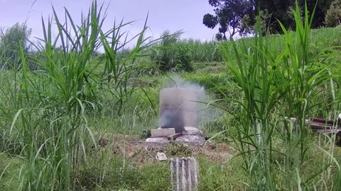 Rubbish burning Stock Footage 167799695