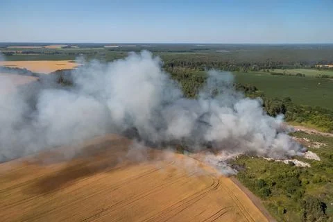 Rubbish dump on wildfire Stock Photos