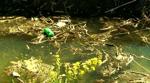 Rubbish dumped in stream 1 Stock Footage 985664