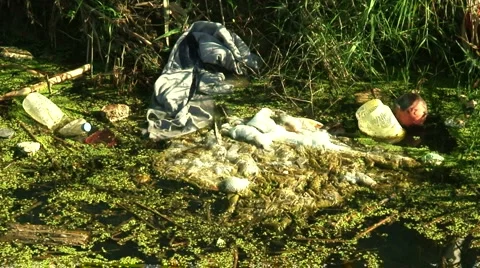 Rubbish dumped in stream 3 스톡 동영상 985347