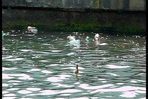 Rubbish Stock Footage 757818