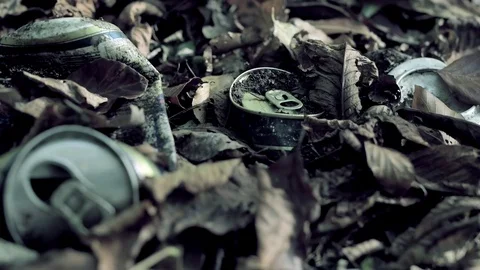 Rubbish in the forest. Cans Stock Footage 73480150