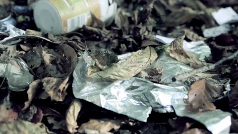 Rubbish in the forest Stock Footage 73480166