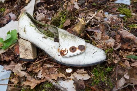 Rubbish in the forest Stock Photos