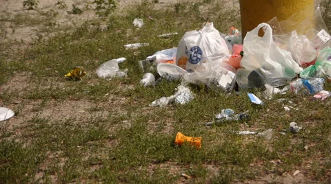 Rubbish On The Grass In The Park Stock Footage 65402836