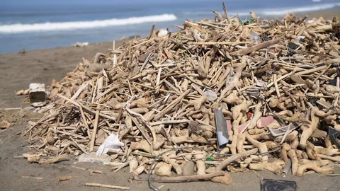 Rubbish heap at a cleaned beach Video stock 91485989
