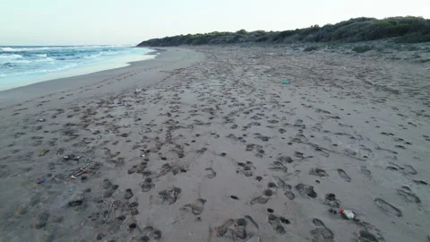Rubbish polluted sandy beach, drone flying over the beach, aerial view Stock Footage 309853913