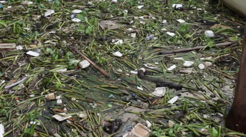 Rubbish in the river Stock Footage 32498685