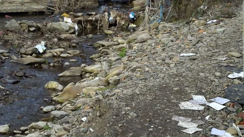 Rubbish on the river. Garbage in a mountain river. Environmental pollution Video stock 98773680