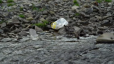 Rubbish on the river. Garbage in a mountain river. Environmental pollution Video stock 98773726