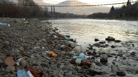 Rubbish on the river. Garbage in a mountain river. Environmental pollution Video stock 98773736