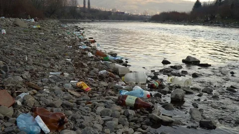 Rubbish on the river. Garbage in a mountain river. Environmental pollution Video stock 98840254