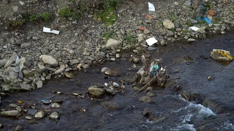 Rubbish on the river. Garbage in a mountain river. Environmental pollution Stock Footage 98888026