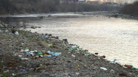 Rubbish on the river. Garbage in a mountain river. Environmental pollution Stock Footage 98888098