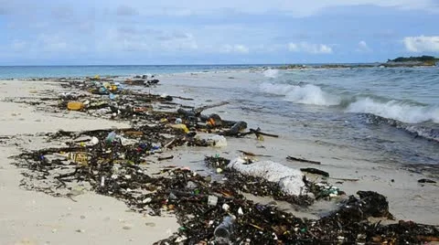 Rubbish at the seaside Stock Footage 11425281