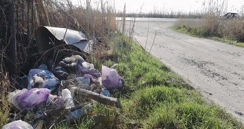 Rubbish on the side of the road. The problem of nature and transport Stock Footage 106068272