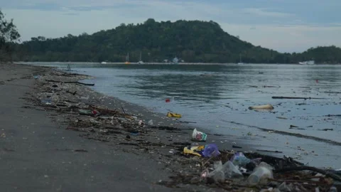 RUBBISH WASHED UP ON BEACH Stock Footage 221302977