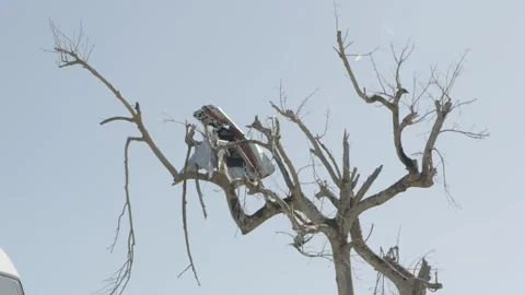 Rubble suspended in a tree Stock Footage 340821078