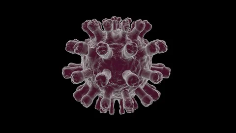 Rubella Virus Stock-Footage 113235060