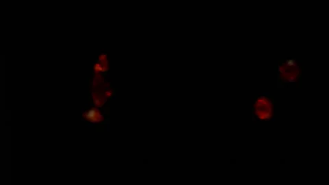 Rubies falling in Slow motion 4K 2 Stock Footage 253073789