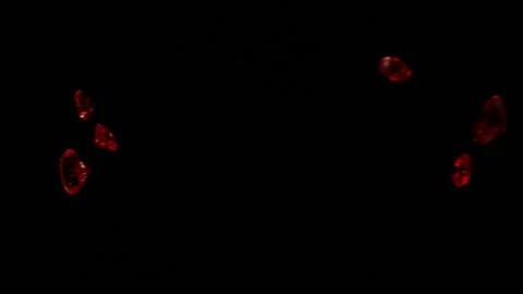 Rubies falling in Slow motion 4K 7 Stock Footage 253156000