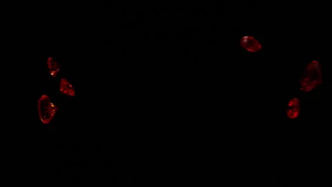 Rubies falling in Slow motion  HD7 Stock Footage 253064391
