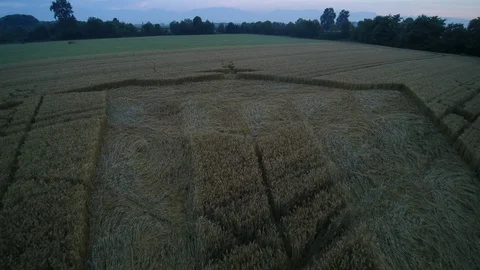 Rubik's Cube Crop Circle in a wheat field at sunrise, aerial drone Video stock 123343636
