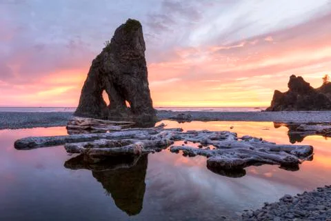 Ruby Beach Driftwood and Seastacks at Sunset Stock Photos