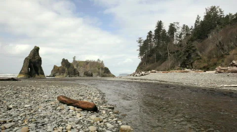 Ruby Beach 스톡 동영상 678542