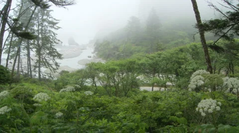 Ruby Beach Vídeo Stock 934529