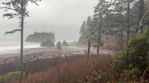 Ruby Beach, Forks, WA, USA - 12/30/2022: Rainy day at Ruby Beach. Video stock 229370912