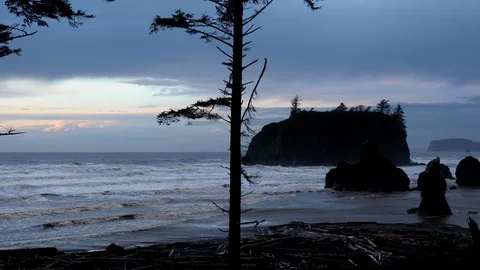 Ruby Beach, Olympic National Park Stock Footage 99812031