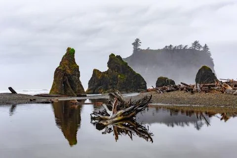 Ruby beach at Oregon coast Stock Photos