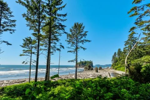Ruby Beach Stock Photos