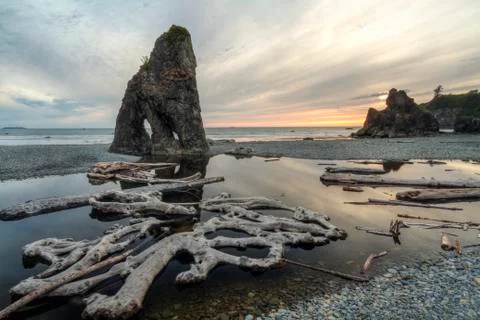 Ruby Beach Reflecting Pool Stock-Fotos