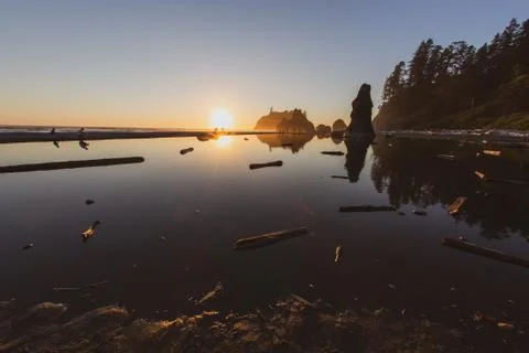 Ruby Beach at Sunset with people in distance Stock Photos