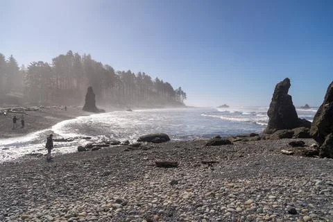 Ruby Beach, WA - USA - Sept. 21, 2021: Horizontal view of visitors admiring t Foto stock