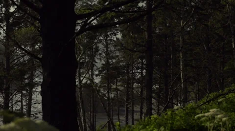 Ruby Beach Washington state Stockbeeldmateriaal 37902901