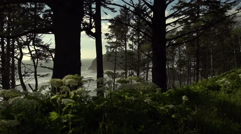 Ruby Beach Washington state sea stacks Stockbeeldmateriaal 37902512