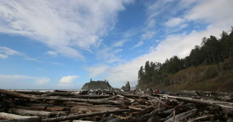 Ruby Beach in Washington, USA Stock Footage 68861733