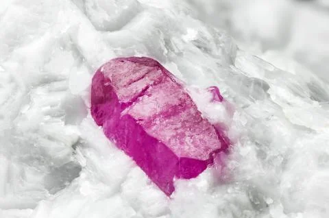 Ruby crystal (red corundum) on white calcite Stock Photos