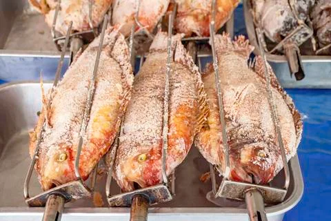 Ruby fish with salt in the grill on the tray. Stock Photos