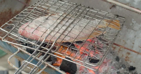 Ruby fish with salt in the grill.Grilled fish with salt on charcoal grill. Stock Footage 289559236