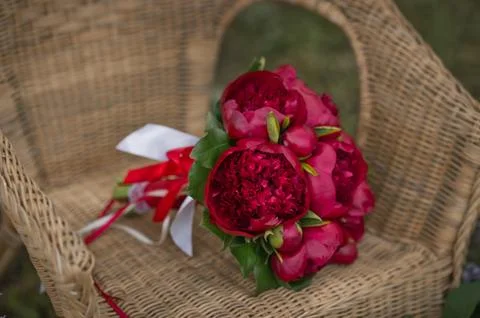 Ruby flowers are lying on a wicker chair 2798. Stock Photos