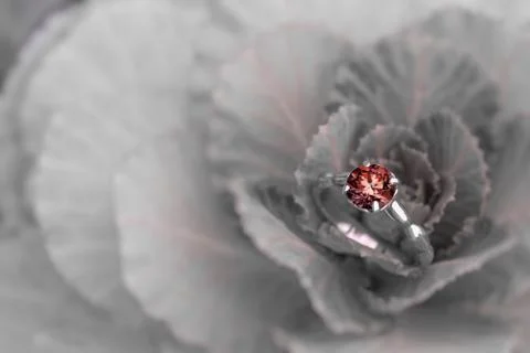 Ruby Gemstone Ring Stock Photos