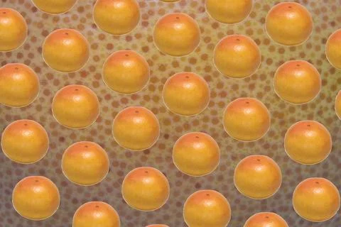 Ruby grapefruit pattern Stock Photos