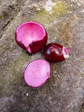 Ruby Longan is a rare and exotic variety of the traditional Longan fruit 스톡 사진