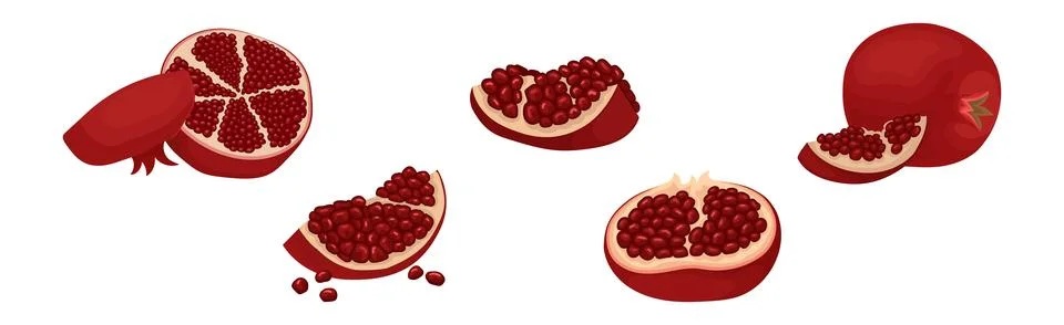 Ruby Pomegranate Fruit with Seeds Inside Vector Set Stock Illustration
