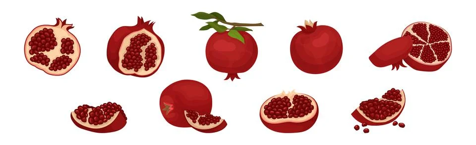 Ruby Pomegranate Fruit with Seeds Inside Vector Set Stock Illustration