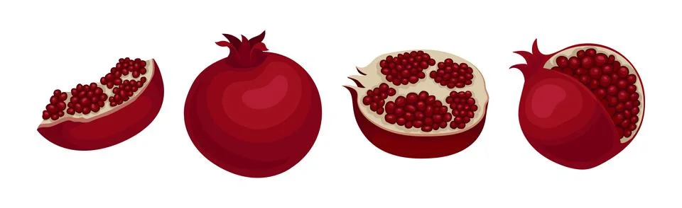Ruby Pomegranate Fruit with Seeds Inside Vector Set Illustrazione stock